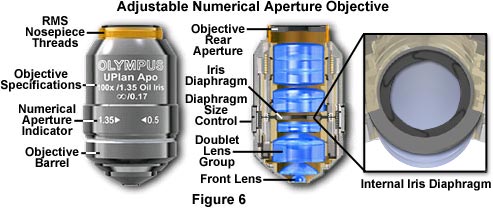 Adjustable Numerical Aperture Objective