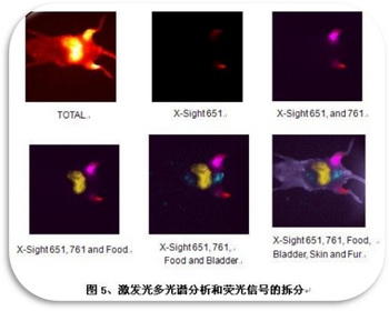 激發(fā)光多光譜分析和熒光信號(hào)的拆分