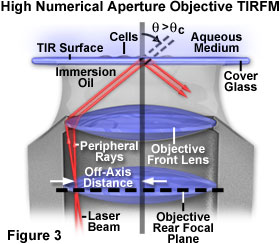 TIRFM高數(shù)值孔徑的物鏡