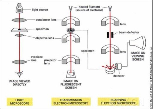 光學(xué)顯微鏡、TEM、SEM成像原理比較
