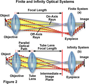 infinity figure2