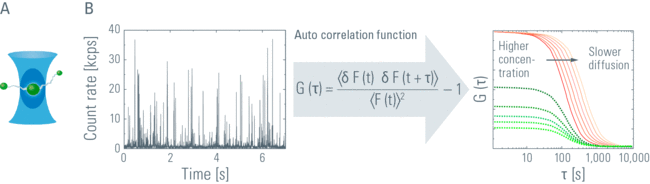 FLCS_Fig-1