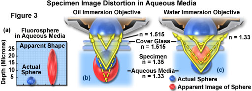 water immersion figure3