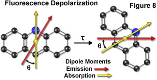 fluorescenceintro figure8