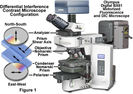 dic intro figure1