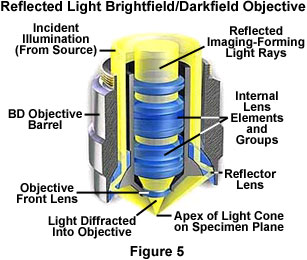 bd objective