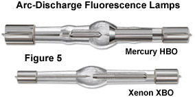 fluorointro figure5