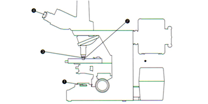 尼康顯微鏡基本結(jié)構(gòu)