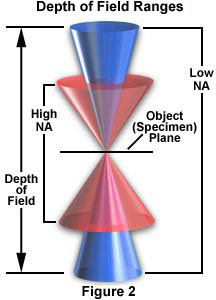 properties figure2