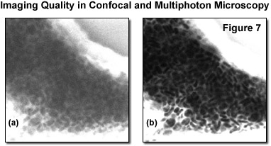 multiphotonintro figure7