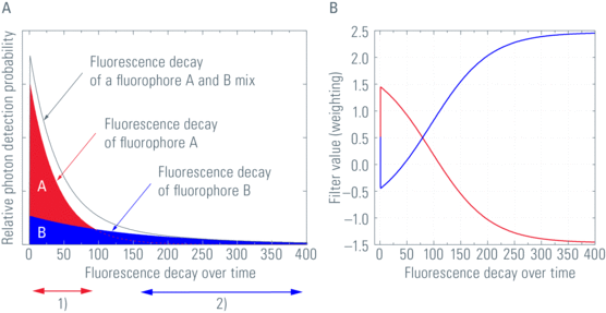 FLCS_Fig-2