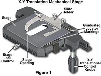 X-Y Translation Mechanical Stage