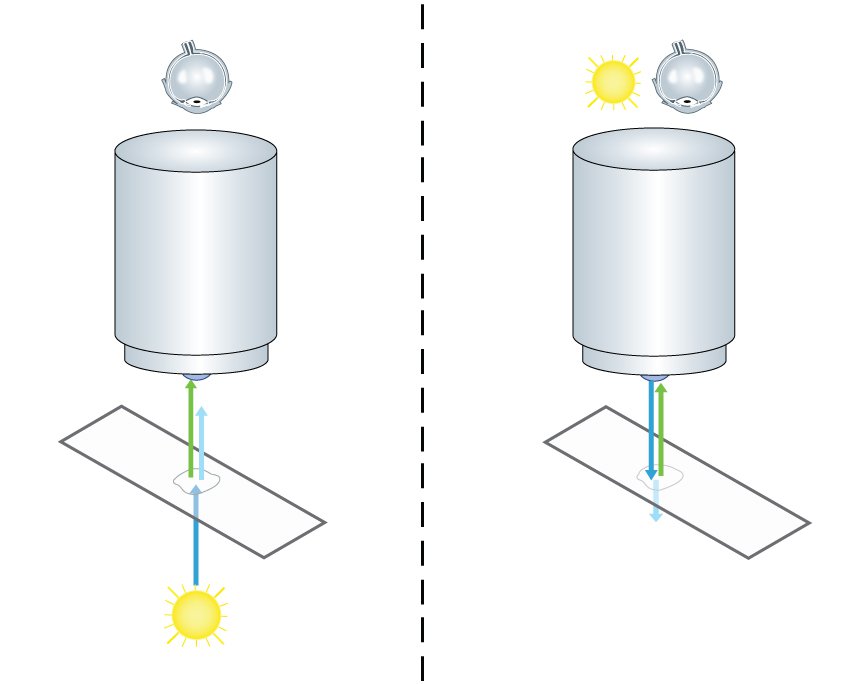 圖1：熒光顯微鏡中epi-照明的好處：在透射照明（左）的情況下，光源和圖像檢測位于目標的相反側(cè)。 使用這種設置，一個明顯的限制是激發(fā)光（淺藍色）的不必要的檢測。 相比之下，Epi-Illumination（右圖）使用照明目標以及圖像檢測。 對于熒光顯微鏡來說，這意味著用戶不會暴露于激發(fā)光。