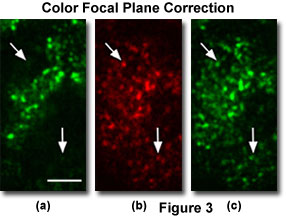 dunn figure3