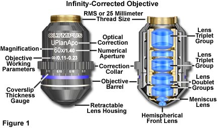 infinity figure1