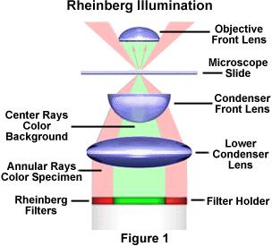 rheinberg