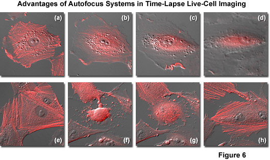 automatic microscope figure6