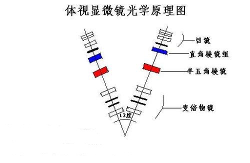 體視顯微鏡原理圖.jpg