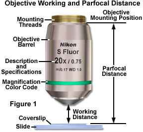 parfocalwd figure1