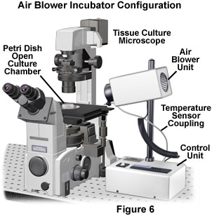 chambers figure6