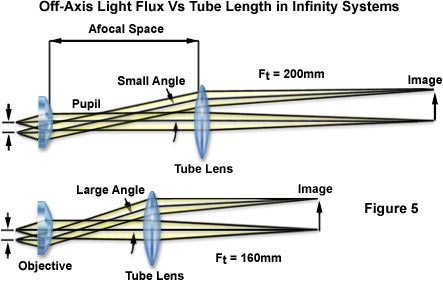 cfi60 figure5