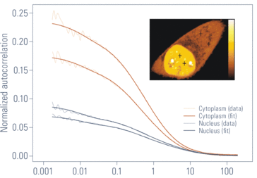 Figure_4_2-spaltig_aussen_02