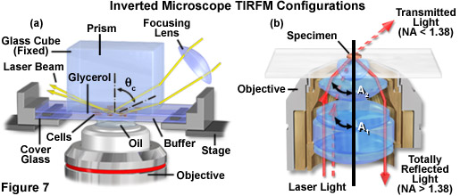 fluorointro figure7