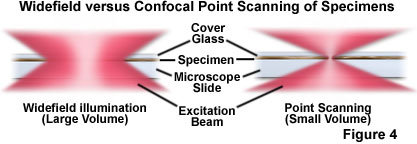 confocalintrofigure4