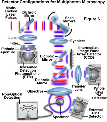 multi figure6