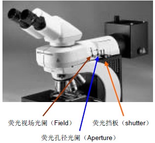 熒光顯微鏡