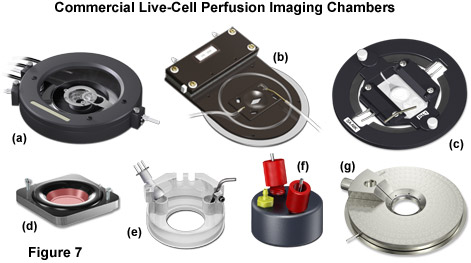 chambers figure7