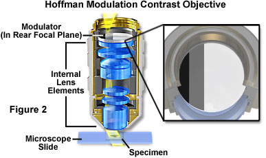 Hoffman Modulation Contrast Objectives