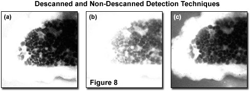 multiphotonintro figure8