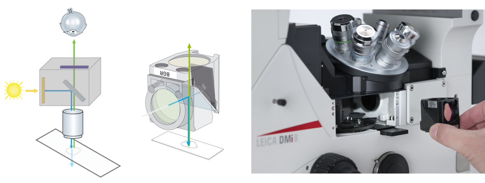 圖6：左圖：Leitz員工W. Kraft于1970年左右將激發(fā)濾光片（橙色），二向色分光鏡（灰色）和發(fā)射濾光片（紫色）放在一個工件 - 濾光片立方體中。 中間：過濾器立方體的工程圖。 右圖：在現(xiàn)代顯微鏡下，熒光濾光片立方體可以輕松地進出。 研究人員甚至可以根據(jù)自己的需要，用不同的濾光片和二向色分光鏡來修改立方體。