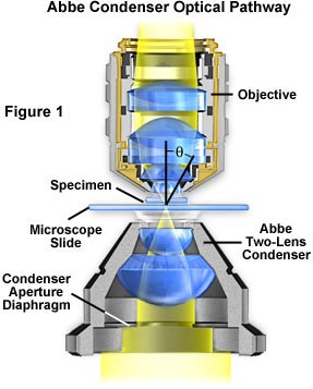 abbe condenser