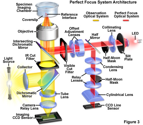 perfect focus figure3