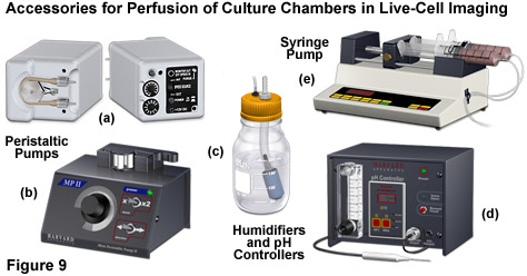 chambers figure9