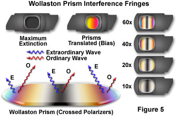 dic intro figure5