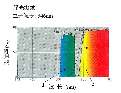 激發(fā)光的顏色