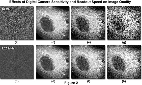 imagingsystemsfigure2