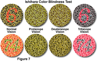 human vision figure7