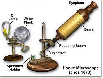 虎克顯微鏡