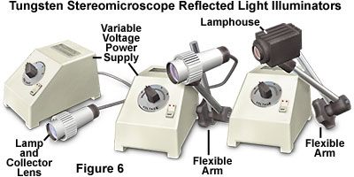 stereoreflected figure6