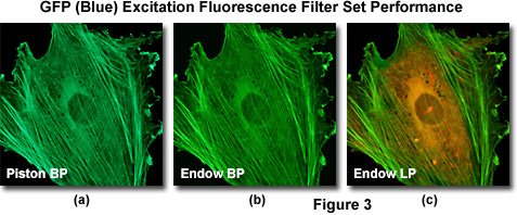 fpimaging figure3