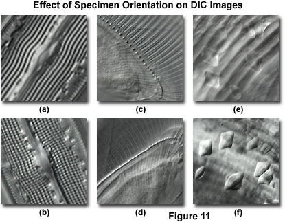 dic intro figure11