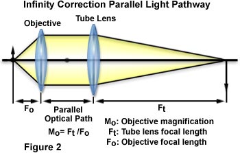 cfi60 figure2