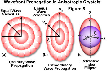 birefringencefigure5