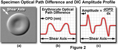 dic intro figure2