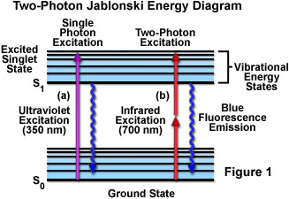 multiphotonintro figure1