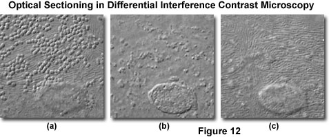 dic intro figure12